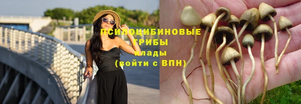 мескалин Каменногорск